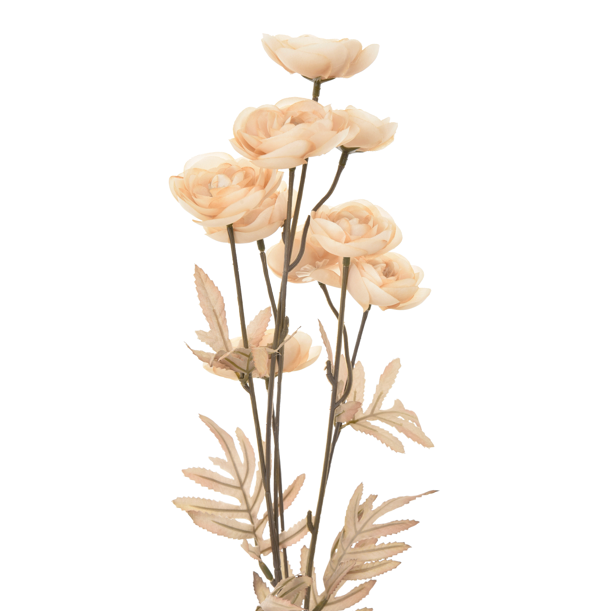 435490_OK_V02.png