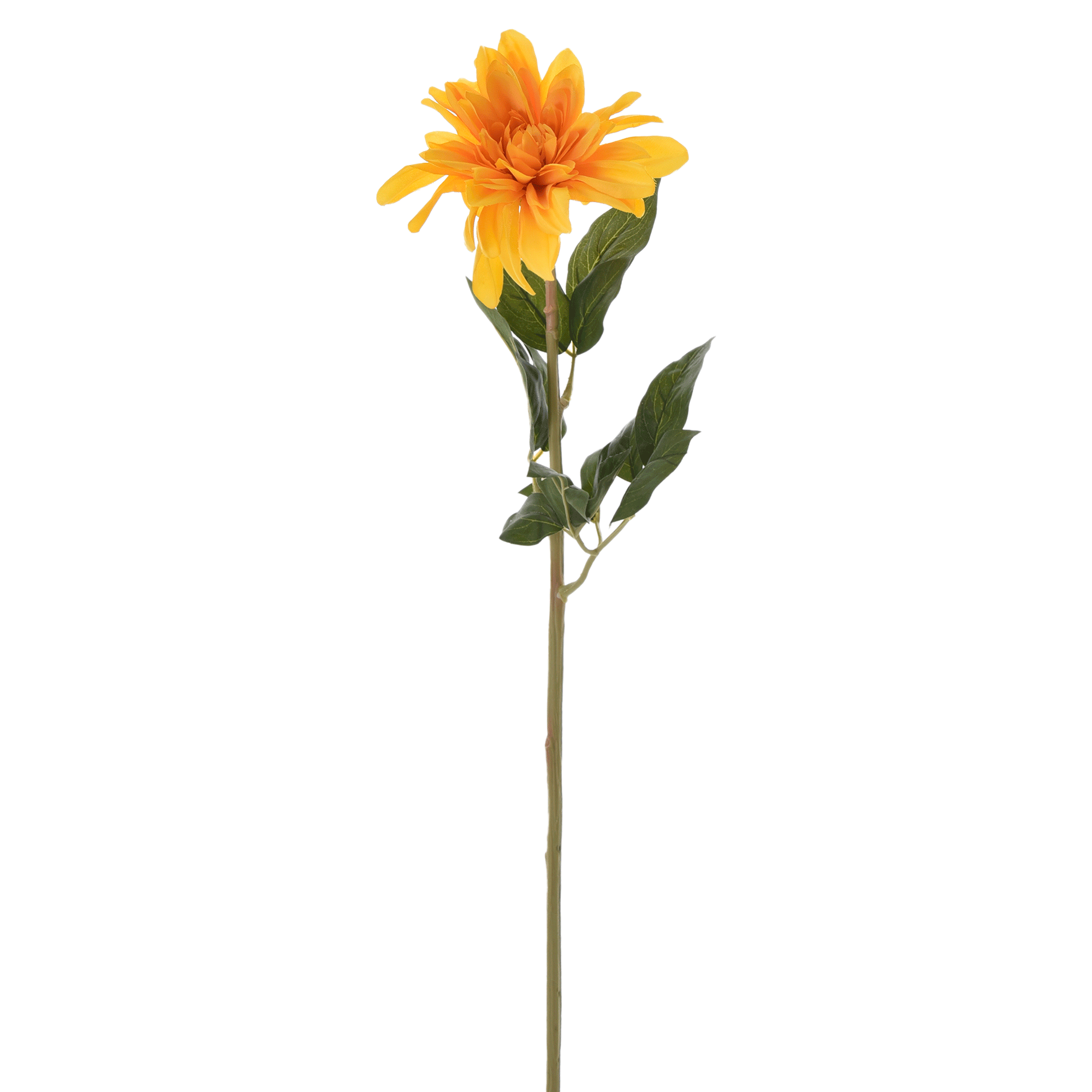 431499_OK_V01.png