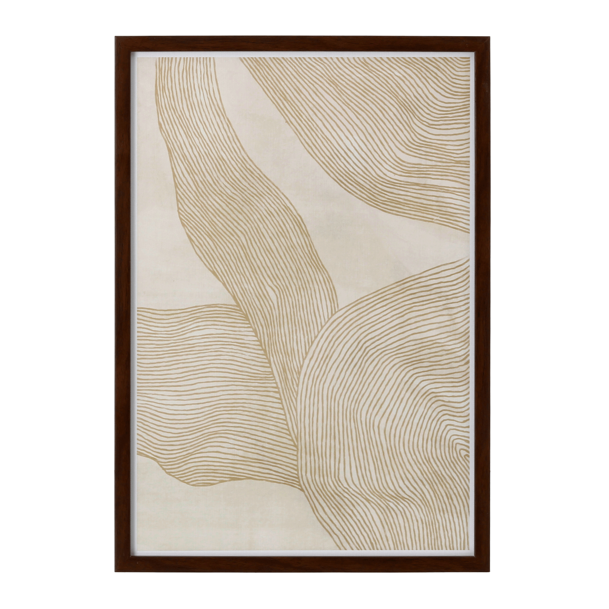 QUADRO II 50 CM X 35 CM ORGANIC LINES
