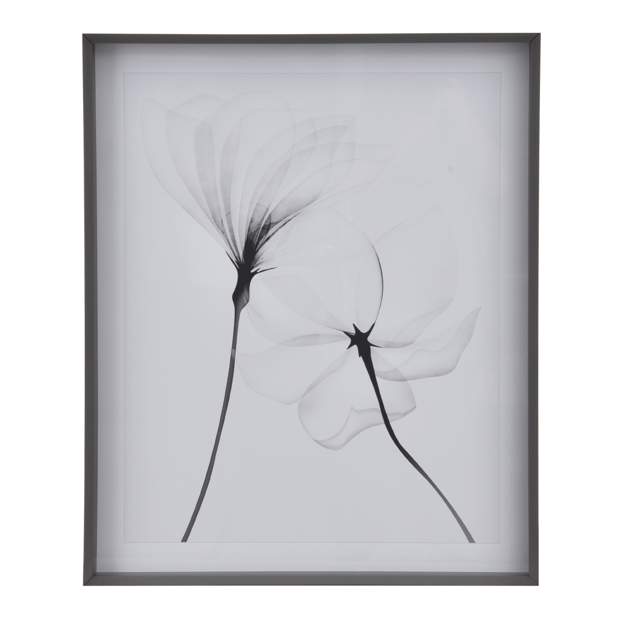QUADRO 69 CM X 84 CM X-RAY FLOWERS II
