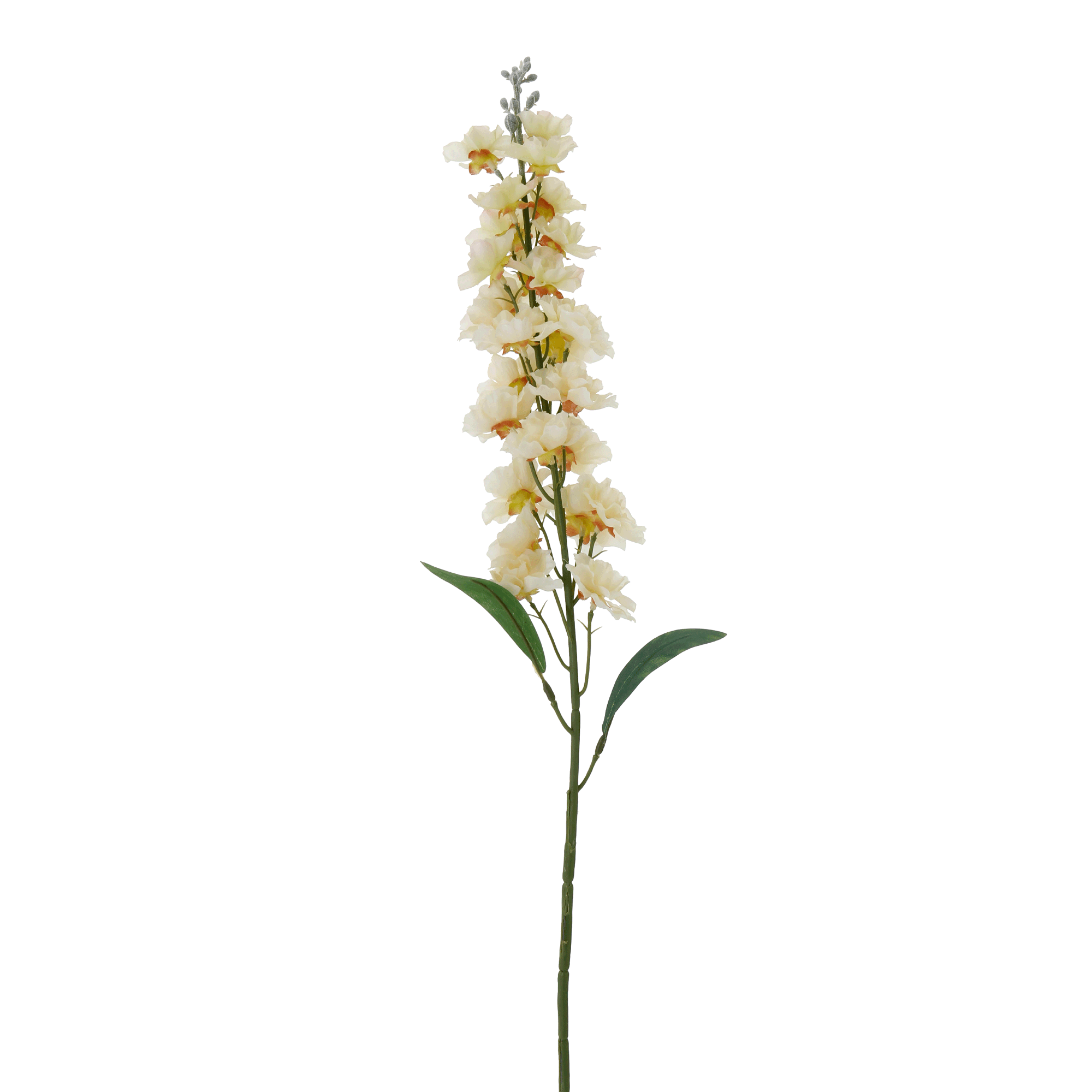 FLOR DELPHES