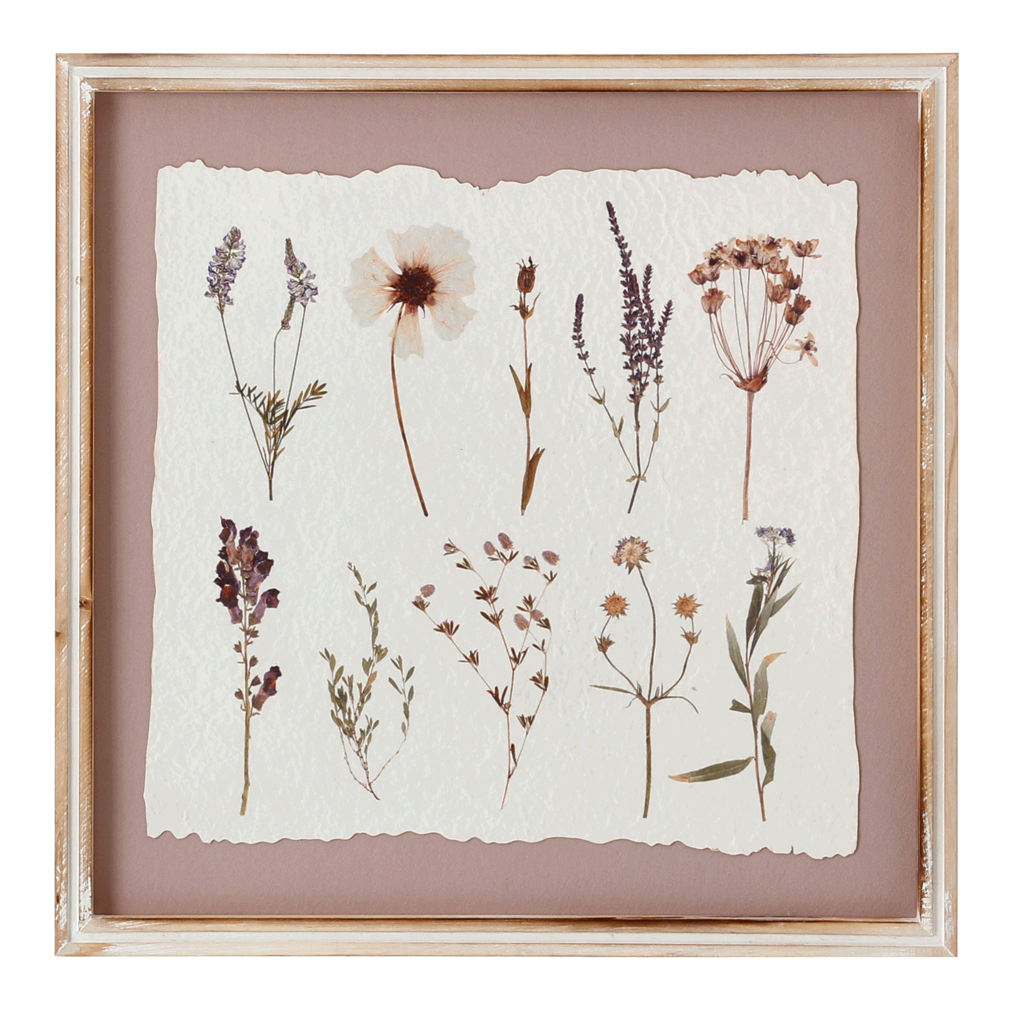 QUADRO II 40 CM X 40 CM BOTANICAL