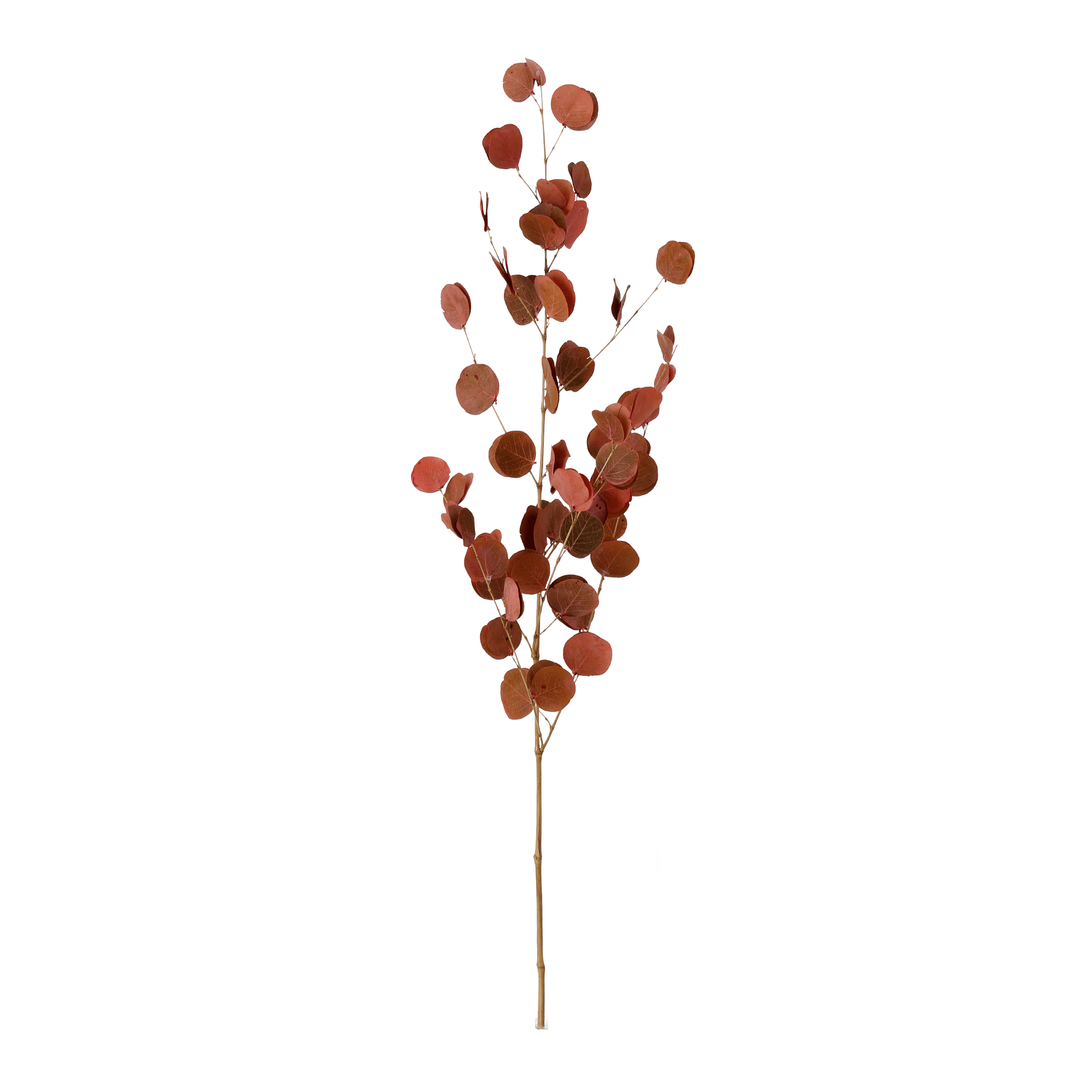 442318_OK_V01.png