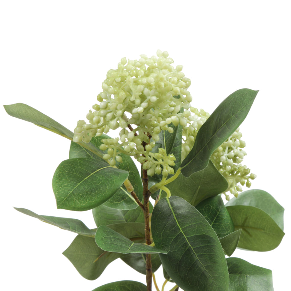 FLOR VIBURNO CAMPONESA
