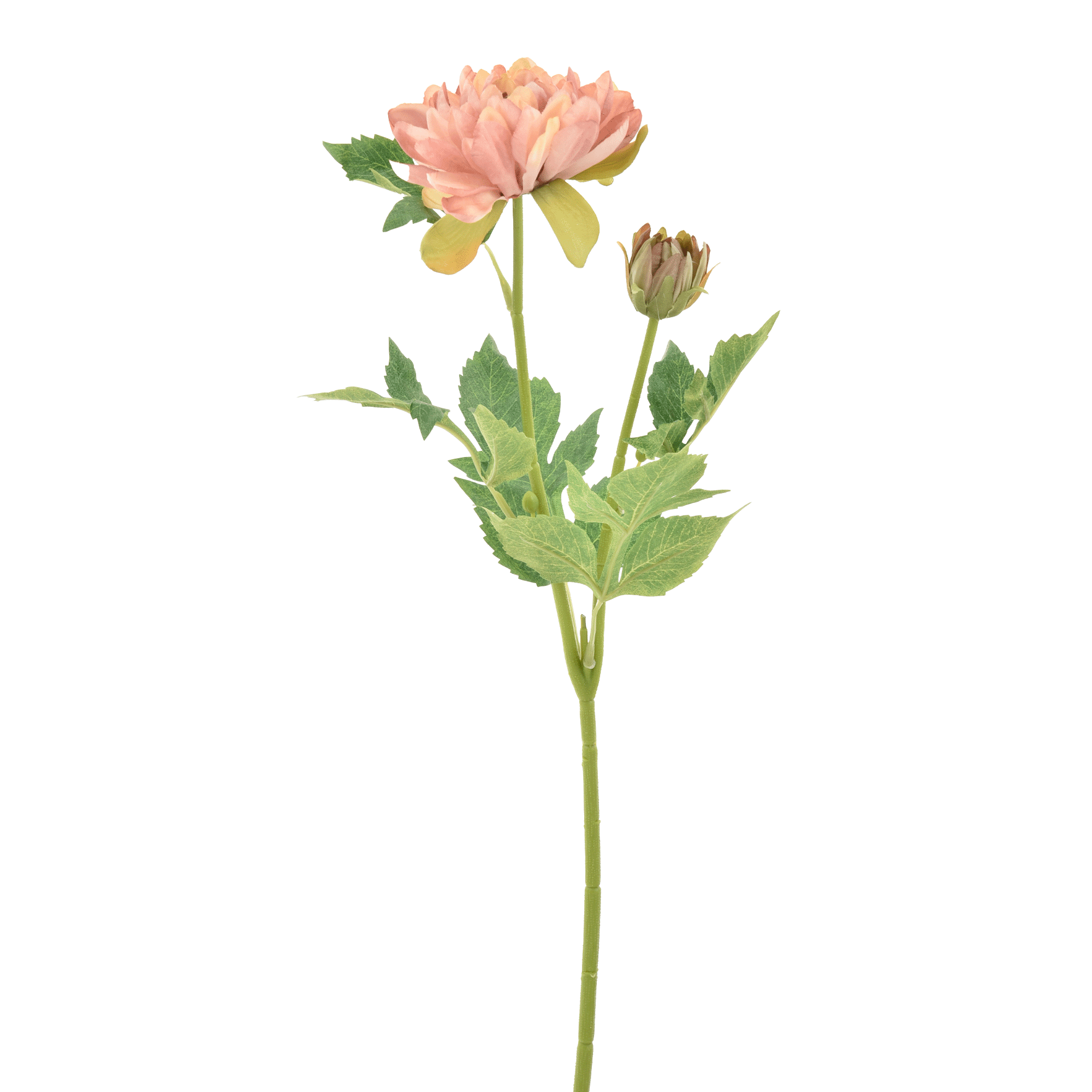 FLOR PEONY