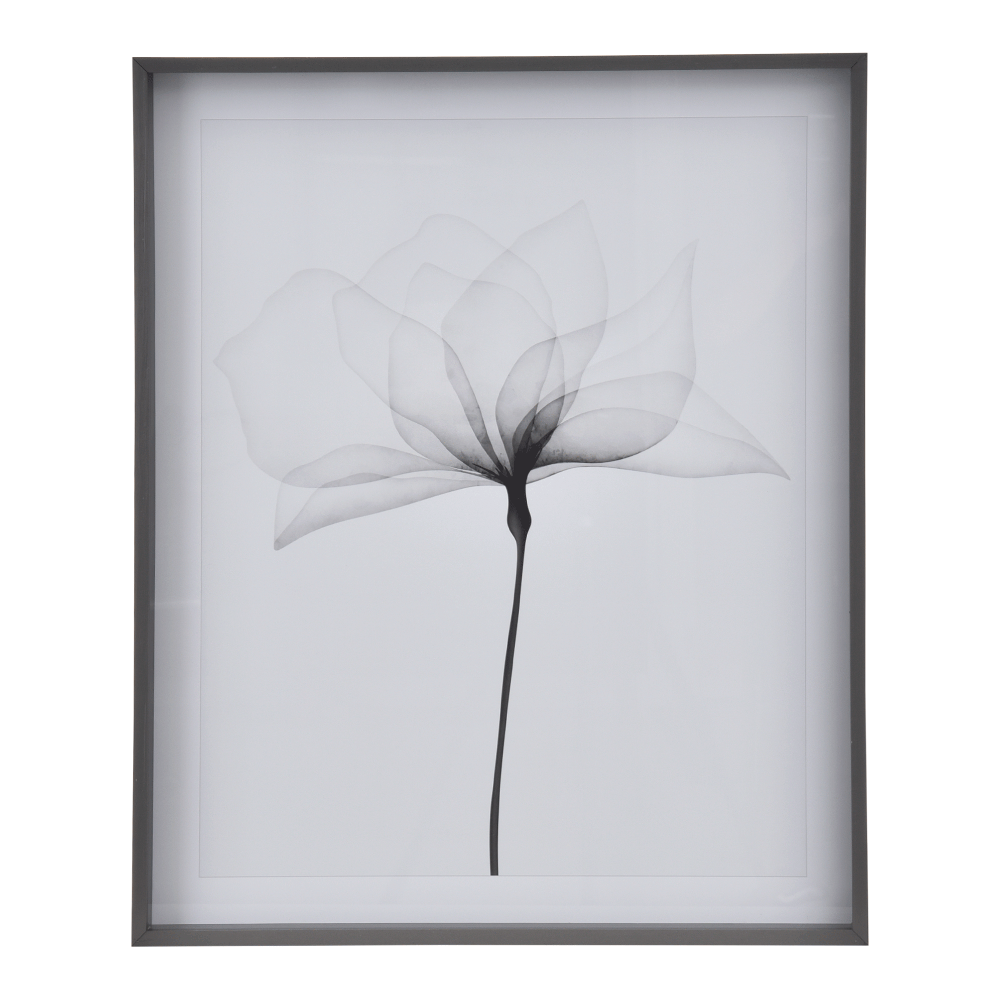 QUADRO 69 CM X 84 CM X-RAY FLOWERS I