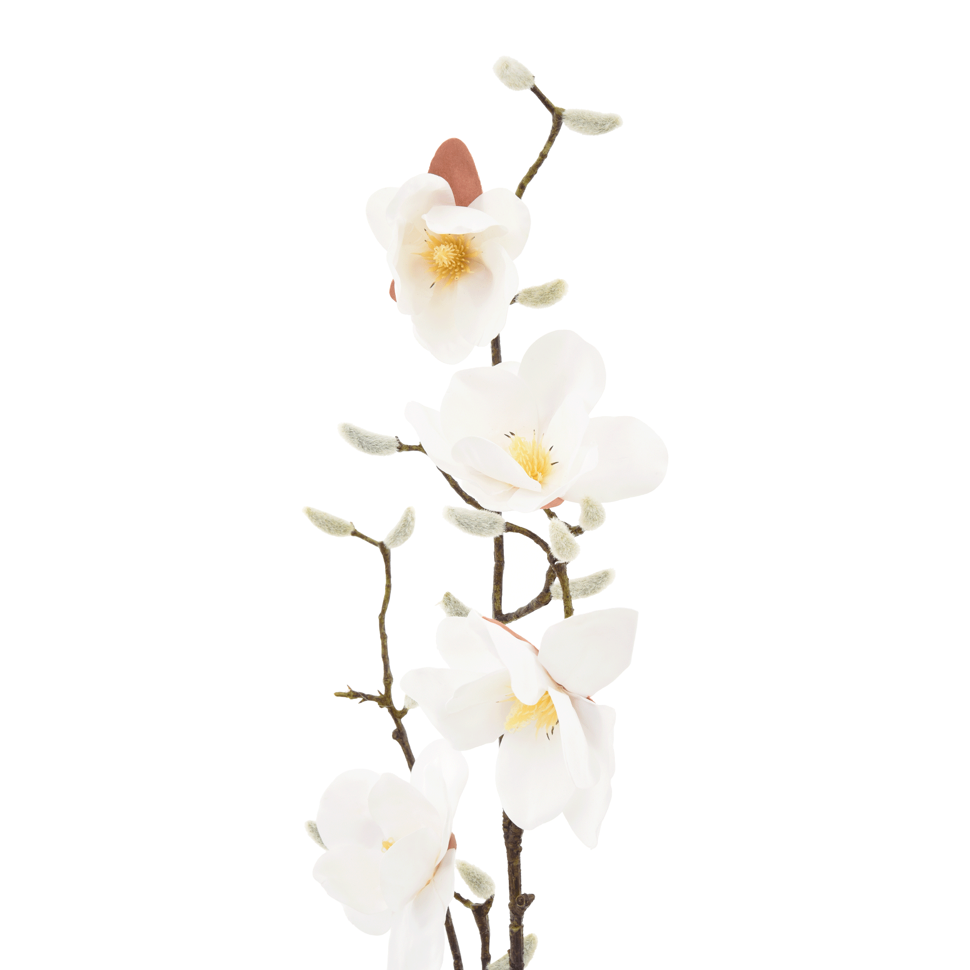 FLOR SUMAUMA