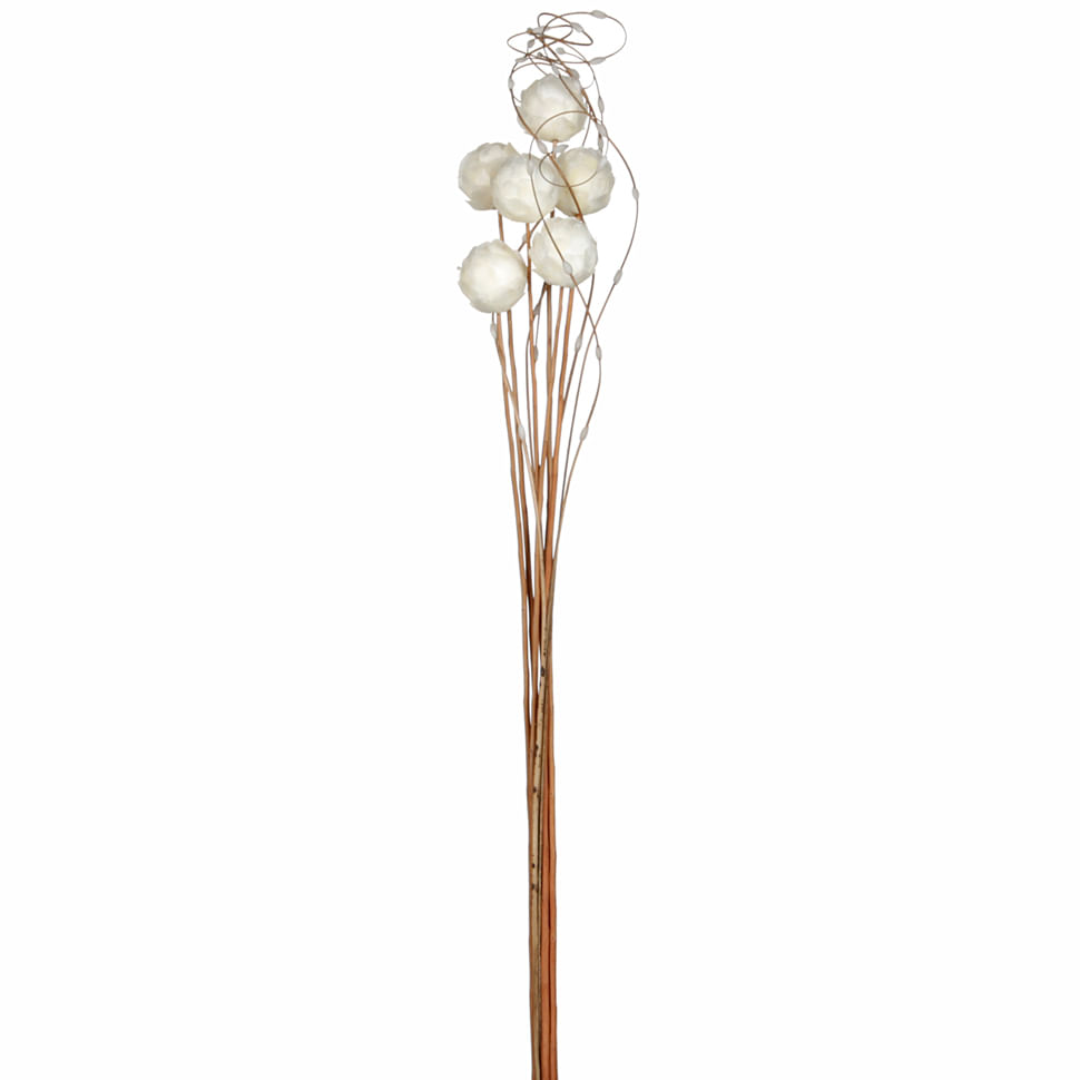 BOUQUET COM 6 ESCAMA DE PEIXE