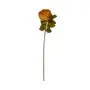 OLIVER-ROSA-OUTONAL-FLOR_1.jpg