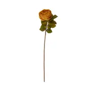 OLIVER-ROSA-OUTONAL-FLOR_1.jpg