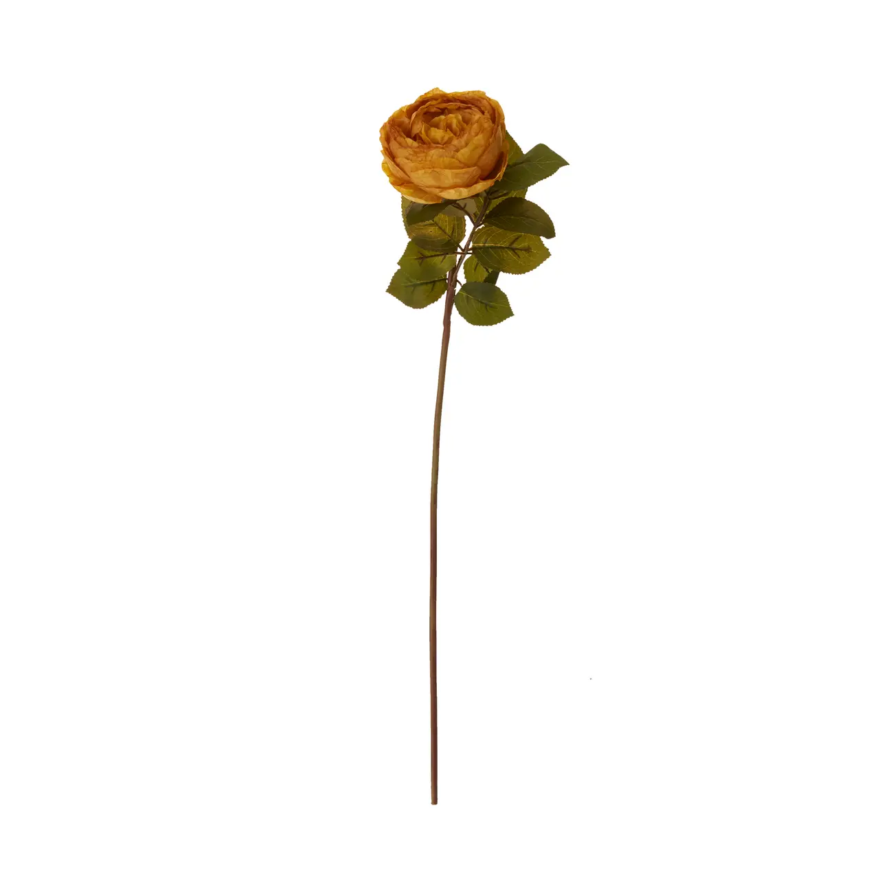 OLIVER-ROSA-OUTONAL-FLOR_1.jpg