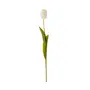 FLOR MIA TULIPA - BRANCO/VERDE - Foto 2