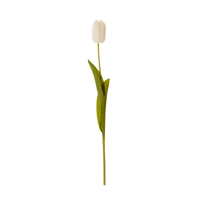 FLOR MIA TULIPA - BRANCO/VERDE - Foto 2