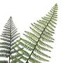 FOLHAGEM SAMAMBAIA - VERDE - Foto 2