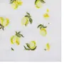 GUARDANAPO 39 CM X 39 CM PACOTE COM 20 PEÇAS LEMON - AMARELO/MULTICOR - Foto 3