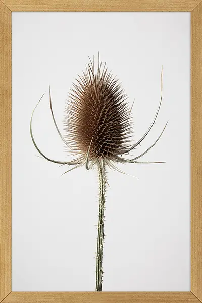 QUADRO JOIA NATURAL III 20 CM X 30 CM