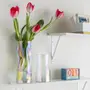 VASO 25 CM CONTOUR - INCOLOR/RAINBOW - Foto 6