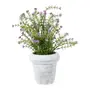 ARRANJO MOSQUITINHO - CINZA/LAVANDA - Foto 1