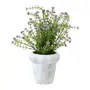 ARRANJO MOSQUITINHO - CINZA/LAVANDA - Foto 2