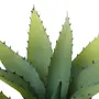 ARRANJO ALOE - PRETO/VERDE - Foto 4