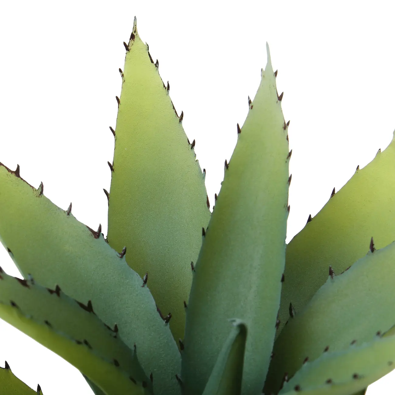 ARRANJO ALOE - PRETO/VERDE - Foto 4
