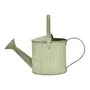 REGADOR DECORATIVO 29 CM CAÍPE - SÁLVIA - Foto 2