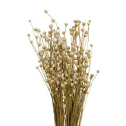 FLOR FOLHAGEM CONGONHA - FIBRA CLARA - Foto 6