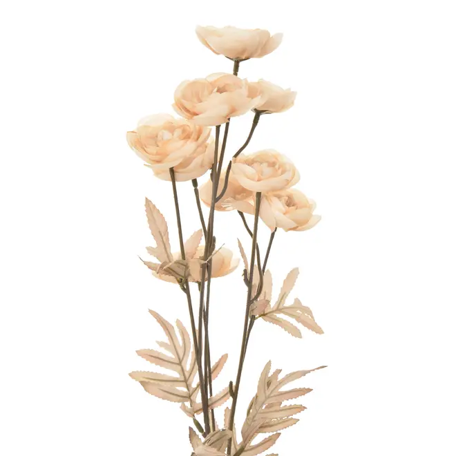 FLOR RANUNCULUS - ZAFFRON/MARROM - Foto 2