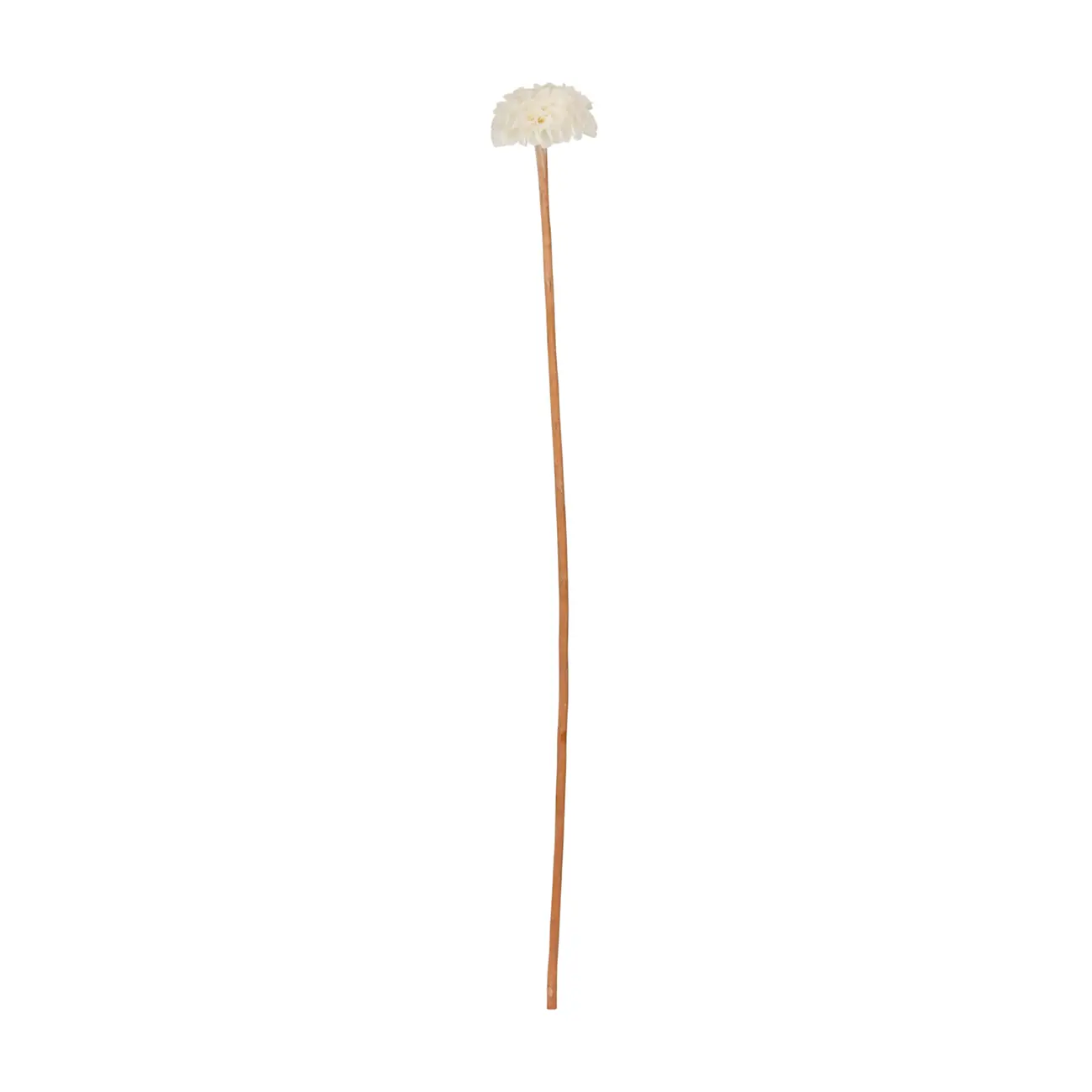 FLOR DÁLIA ESCAMA DE PEIXE - FIBRA CLARA - Foto 1