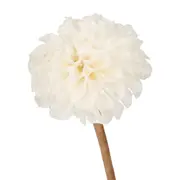 FLOR DÁLIA ESCAMA DE PEIXE - FIBRA CLARA - Foto 2