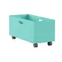 CAIXA ORGANIZADORA 33 CM X 67 CM X 31 CM CELL - MENTA - Foto 10