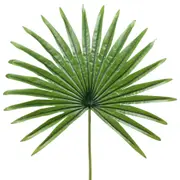 FOLHAGEM 82 CM ROYALTY PALM - VERDE - Foto 2