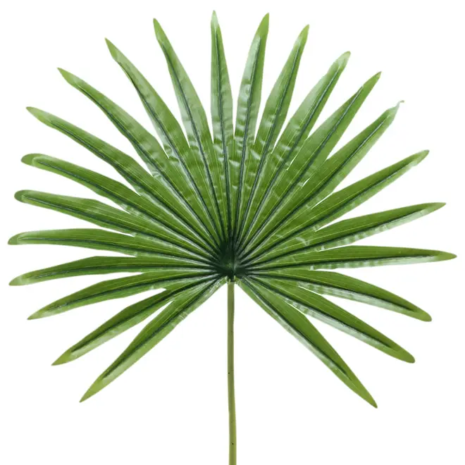 FOLHAGEM 82 CM ROYALTY PALM - VERDE - Foto 2