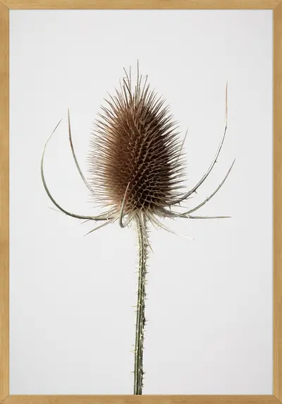 QUADRO JOIA NATURAL III 35 CM X 50 CM