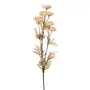 FLOR RANUNCULUS - ZAFFRON/MARROM - Foto 1
