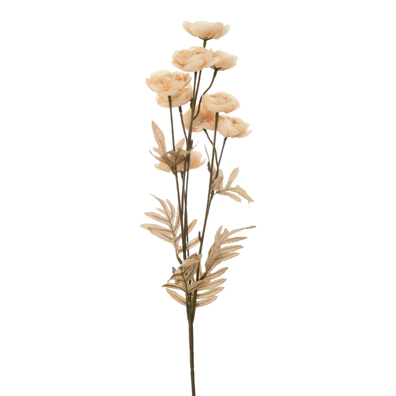 FLOR RANUNCULUS - ZAFFRON/MARROM - Foto 1