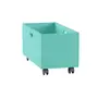 CAIXA ORGANIZADORA 33 CM X 67 CM X 31 CM CELL - MENTA - Foto 25