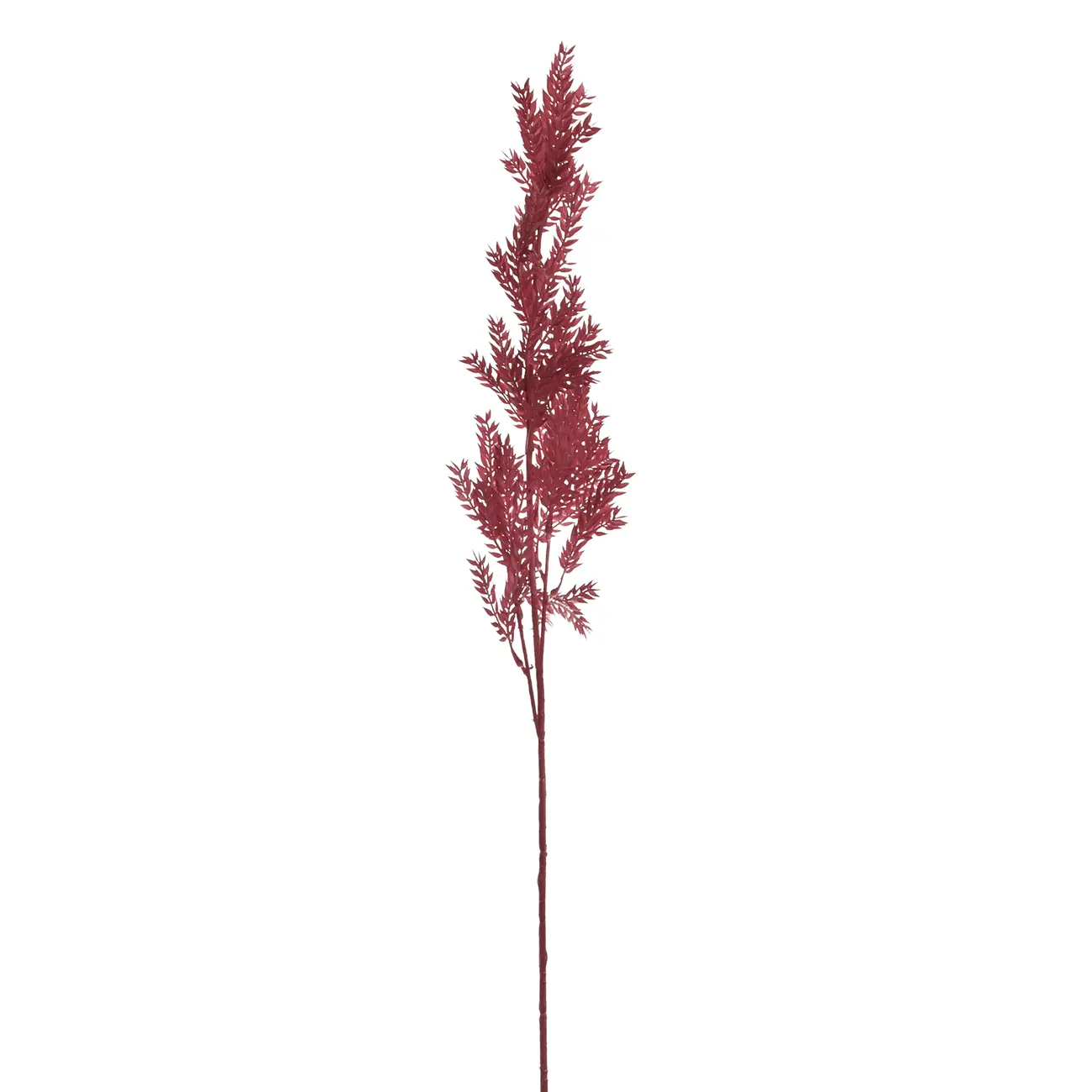 FOLHAGEM CAPIM GALHO - VERMELHO HINDU - Foto 1