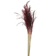 FOLHAGEM CAPIM ARROZINHO - FIBRA CASTANHA - Foto 1