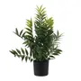 ARRANJO FICUS - PRETO/VERDE - Foto 2