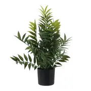 ARRANJO FICUS - PRETO/VERDE - Foto 2