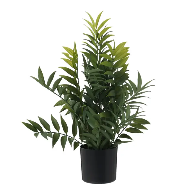 ARRANJO FICUS - PRETO/VERDE - Foto 2