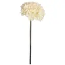 FLOR BIA HORTÊNCIA