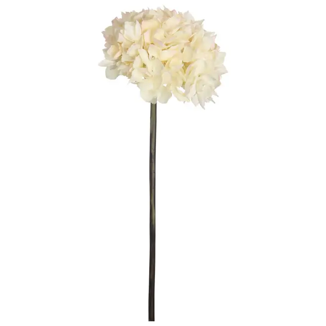 FLOR BIA HORTÊNCIA - BRANCO/VERDE - Foto 1