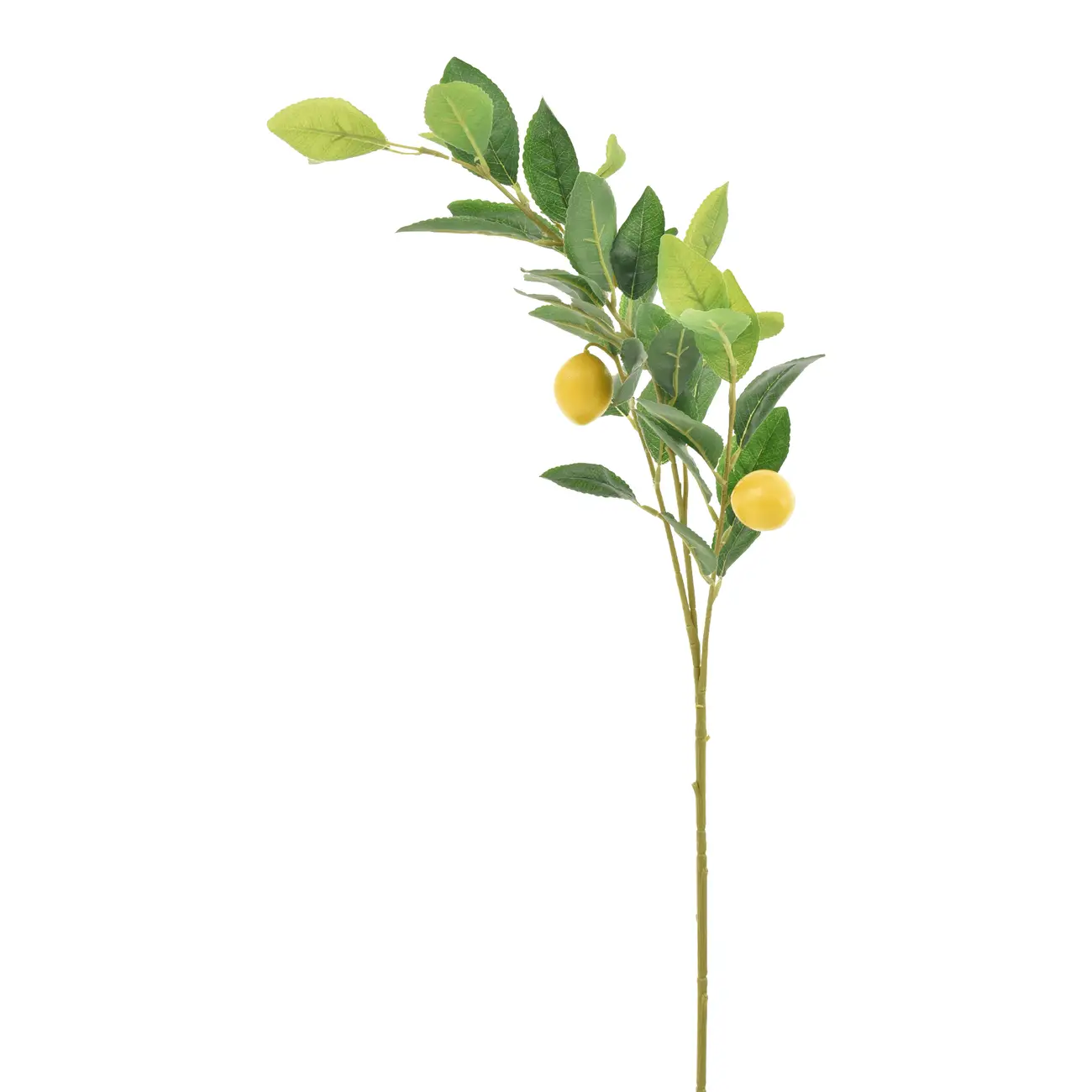 GALHOS FRUTO TROPICAL LIMÃO SICILIANO - VERDE/AMARELO - Foto 1