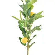 GALHOS FRUTO TROPICAL LIMÃO SICILIANO - VERDE/AMARELO - Foto 2