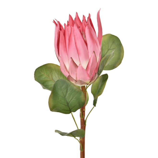 435492_OK_V02.png