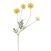 FLOR PRISTIMERA CAMBODIANA - AMARELO/VERDE CLARO - Foto 1