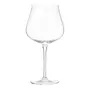 TAÇA GIN/BORGONHA 740 ML CHAILLOT TITAN - INCOLOR - Foto 1