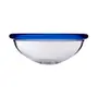 TIGELA 15 CM FRESC - INCOLOR/AZUL - Foto 1